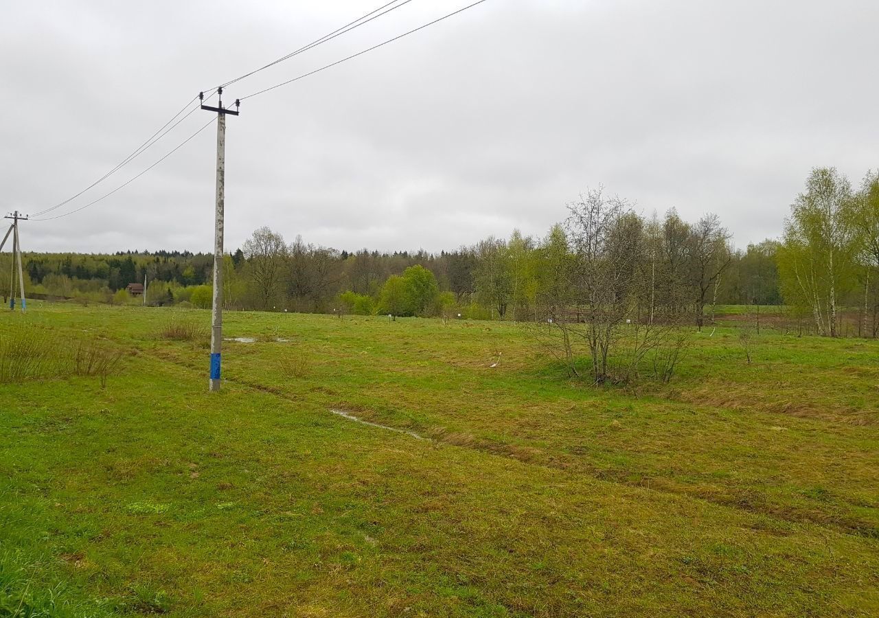 земля городской округ Сергиево-Посадский г Хотьково 46 км, д. Подушкино, Ярославское шоссе фото 21