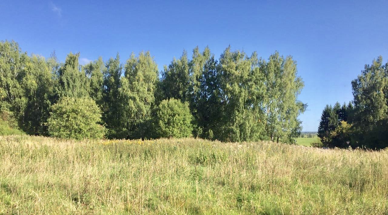 земля р-н Переславский д Пономаревка Переславль-Залесский городской округ фото 2