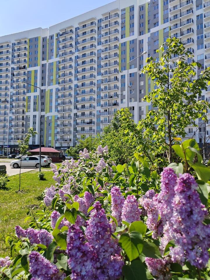 квартира г Пенза ул Генерала Глазунова 6 ЖК «Арбековская застава» Пенза, городской округ Пенза, Октябрьский район, ЖК «Арбековская застава», улица Генерала Глазунова фото 11