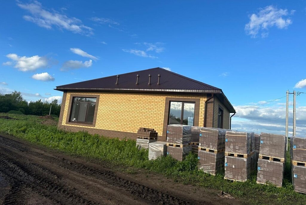 дом р-н Чистопольский г Чистополь городское поселение Чистополь фото 4