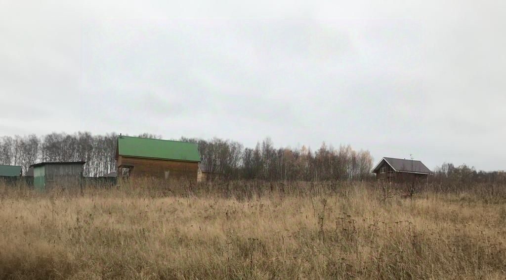 земля р-н Чкаловский д Высокая Чкаловск городской округ фото 11