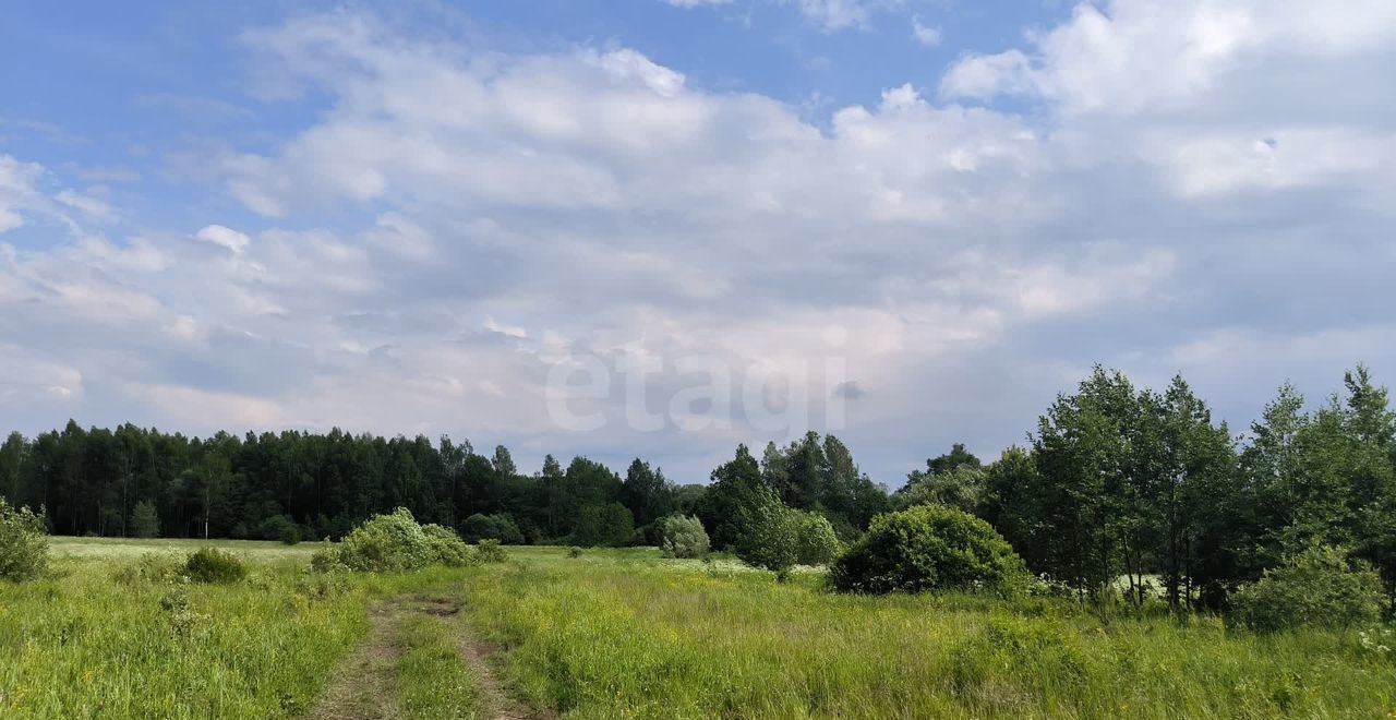 земля городской округ Талдомский д Головково-Марьино 70 км, Вербилки, Дмитровское шоссе фото 6