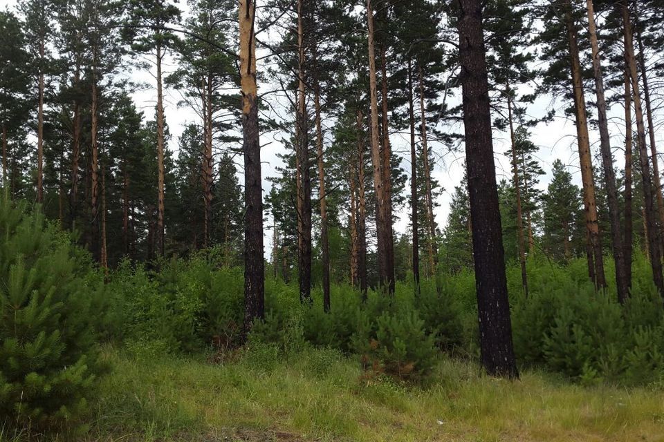 дом р-н Прибайкальский садоводческое товарищество Якорь фото 1