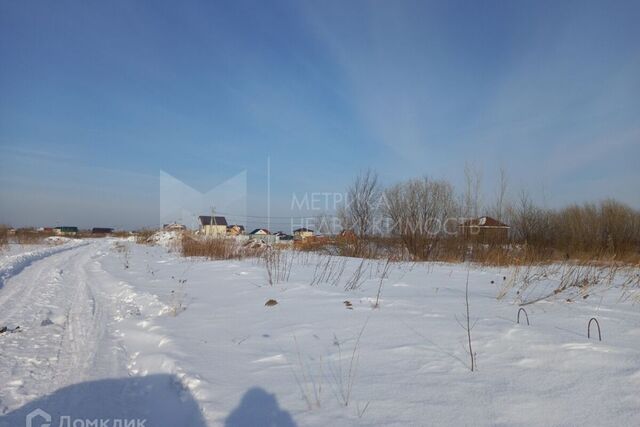 городской округ Тюмень, Садоводческое общество Царёво фото