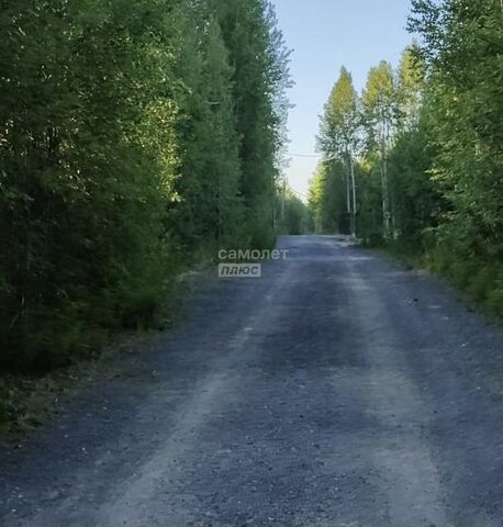 СОТ Нептун, городской округ Ханты-Мансийск фото