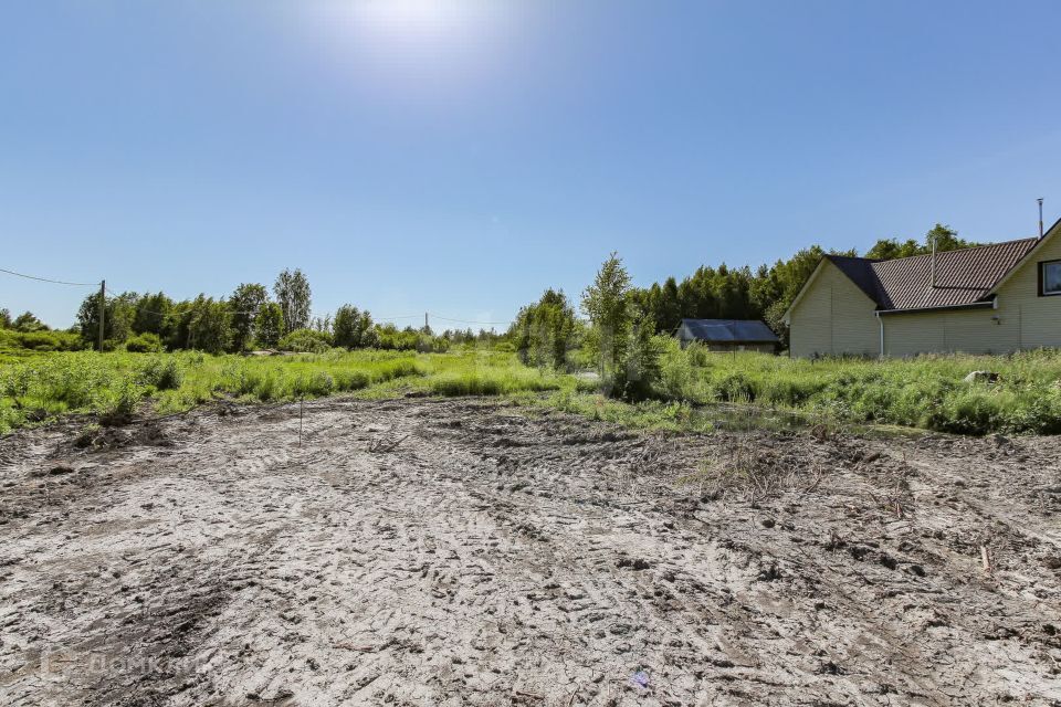 земля г Тюмень городской округ Тюмень, Садоводческое общество Яровское фото 4