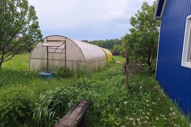 городской округ Курган, СНТ Боровик фото