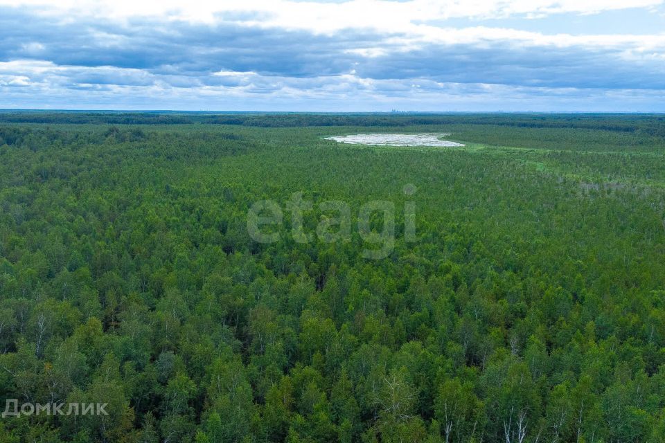 земля г Тюмень снт Светлячок городской округ Тюмень, 2-я улица фото 5