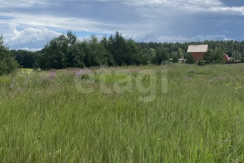 земля р-н Тугулымский Центральная улица фото 8