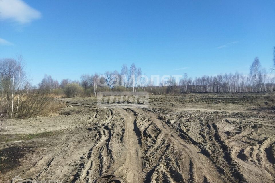 земля р-н Тюменский СО Приозерное фото 6