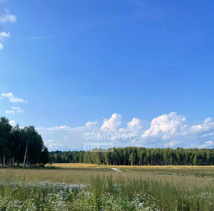 земля городской округ Ступино д Шелково ул Центральная Аннино фото 2