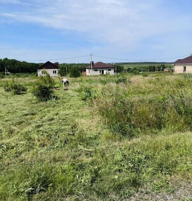 земля р-н Аксайский п Степной Рассветовское сельское поселение фото 2