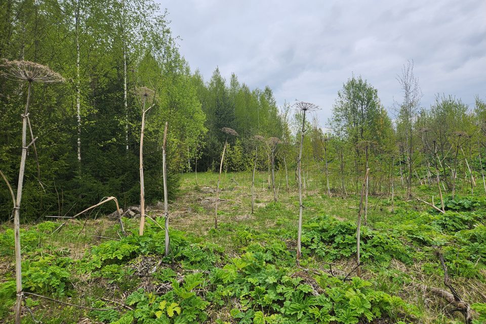 земля городской округ Истра коттеджный посёлок Шоколад фото 3