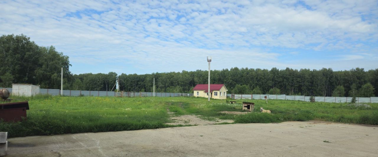 свободного назначения р-н Новосибирский с Ярково ул Лесная 31 Ярковский сельсовет, Верх-Тула фото 3