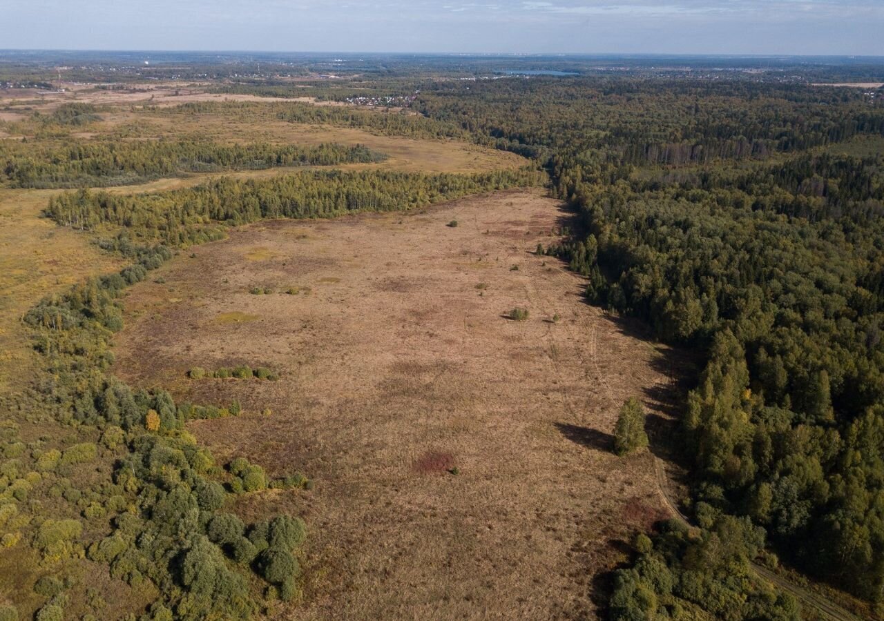 земля городской округ Истра д Алёхново 42 км, Истра, Пятницкое шоссе фото 15