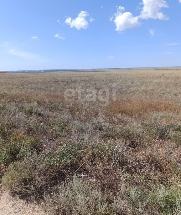 земля р-н Черноморский с Оленевка ул Очеретайская фото 2