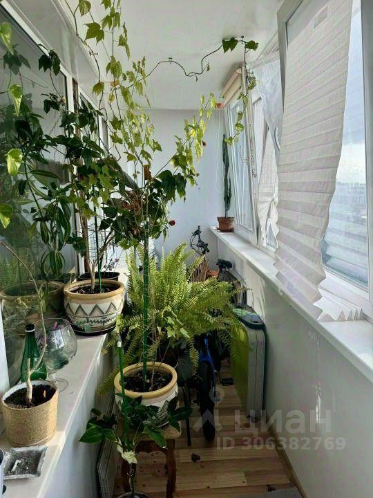 квартира г Зеленоград Силино ЗелАО 11в микрорайон, к 1136, Московская область, г Пушкино, Зеленоград фото 3