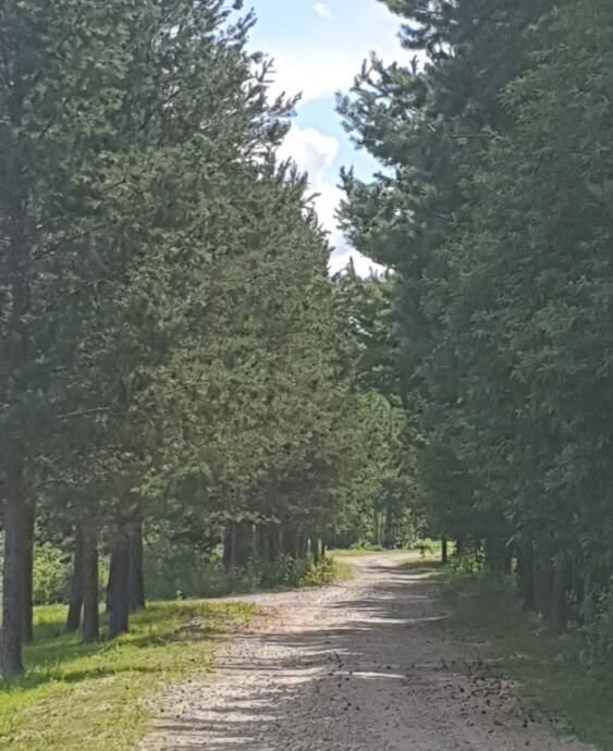 дом р-н Белоярский п Гагарский загородный комплекс Лайф, Заречный фото 2