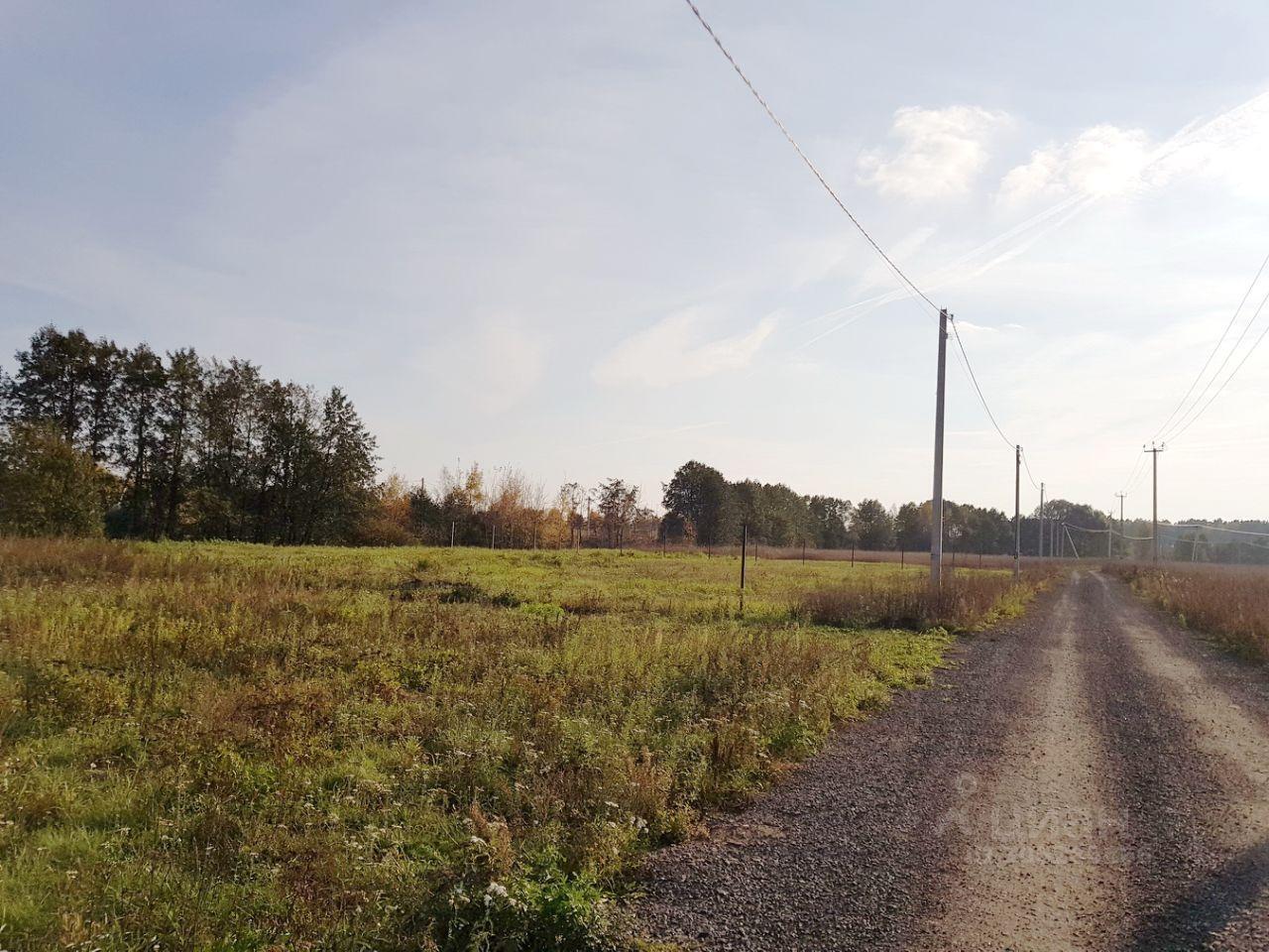 земля г Раменское ул Осенняя Раменский городской округ фото 8