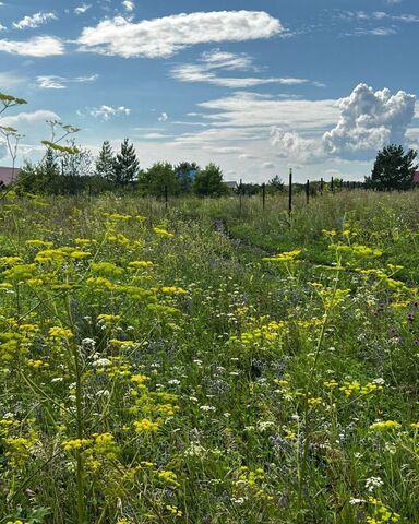 земля сельсовет, Виноградная ул, Кабаково, СНТ Солнечный фото