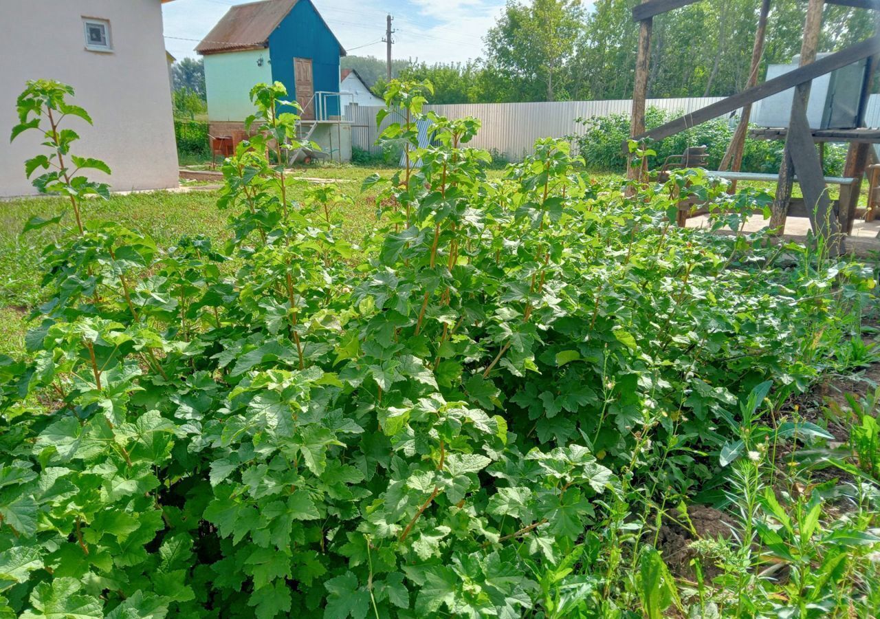 дом р-н Оренбургский с Подгородняя Покровка сельсовет, СНТ Хутор Степановский, Яблоневая ул, Ленинский фото 22