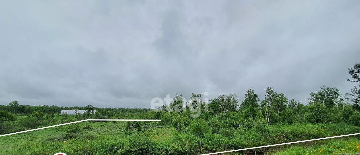 земля р-н Елизовский г Елизово Дубрава-1 ПААТО Камчатстроя СНТ фото 3