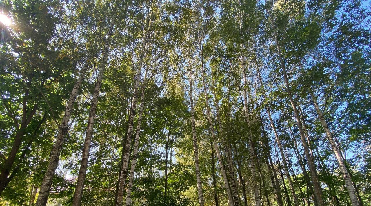 дом городской округ Клин д Алферьево 2А фото 21