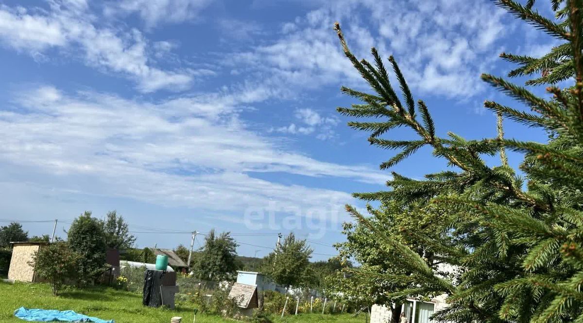 земля городской округ Клин д Струбково фото 10