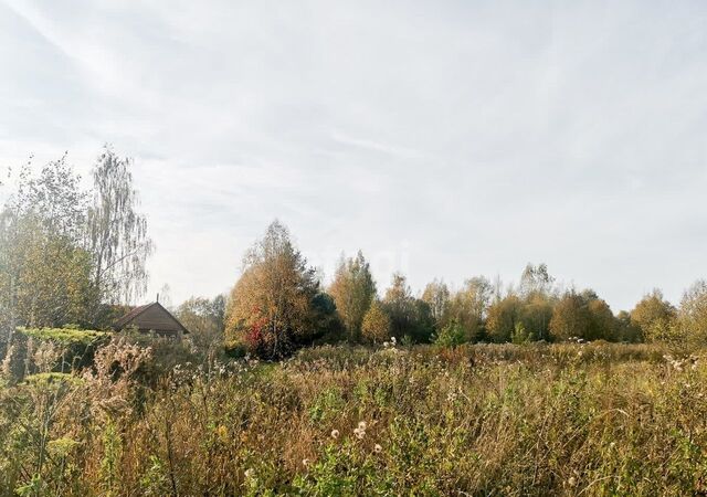 Левобережное сельское поселение, Родионовский сельский округ, Ярославль фото