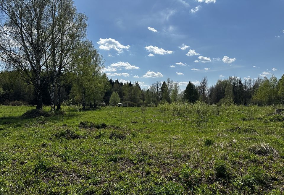 земля городской округ Мытищи с Марфино ул Оранжерейная 19 км, Марфино, Дмитровское шоссе фото 6