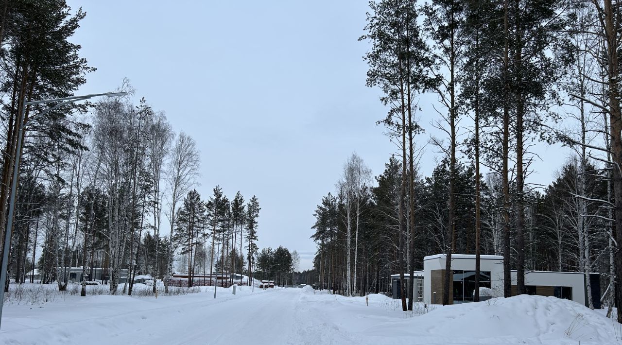 земля р-н Сысертский дп Заповедник Медвежата кв-л, 65 фото 4