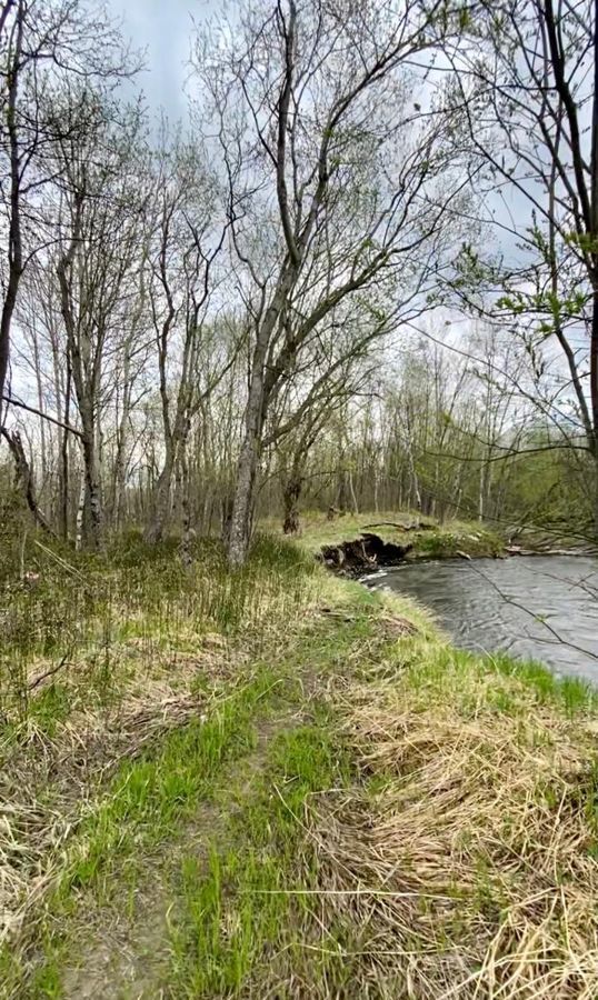 земля р-н Елизовский г Елизово Елизовское городское поселение, мкр-н Мутной фото 6