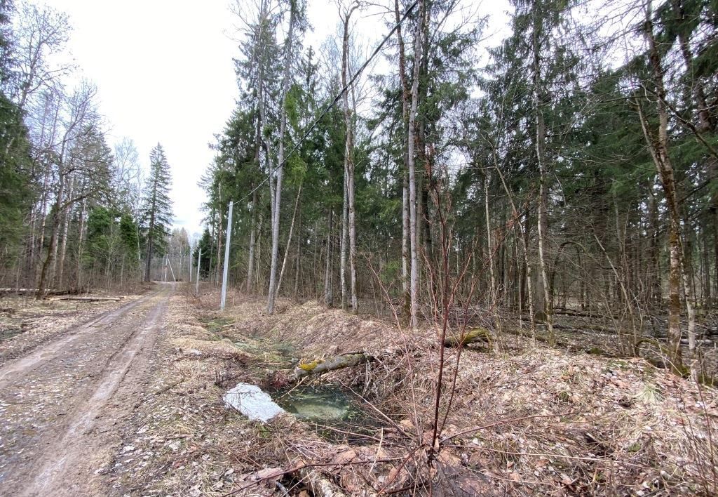 земля городской округ Сергиево-Посадский г Хотьково тер ДПК Весна 47 км, Ярославское шоссе фото 4