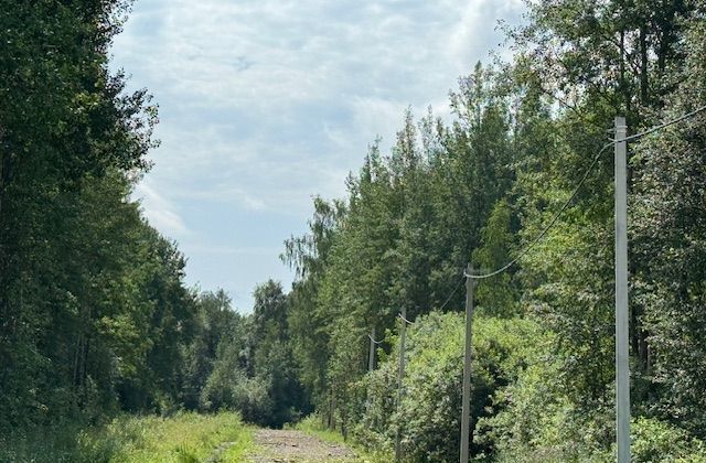 земля р-н Ярославский д Ермолово Заволжское сельское поселение, коттеджный пос. Дубровка, Ярославль фото 5