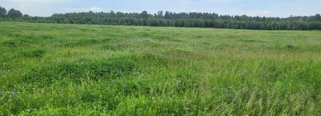 Баклашинское муниципальное образование, ДНТ Ручеёк, Шелехов фото