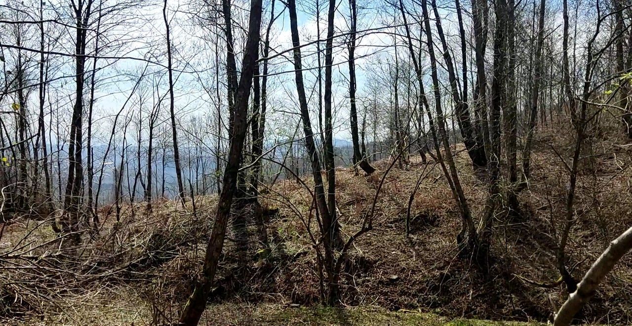 земля г Сочи р-н Адлерский с Нижняя Шиловка снт Южное взморье фото 6