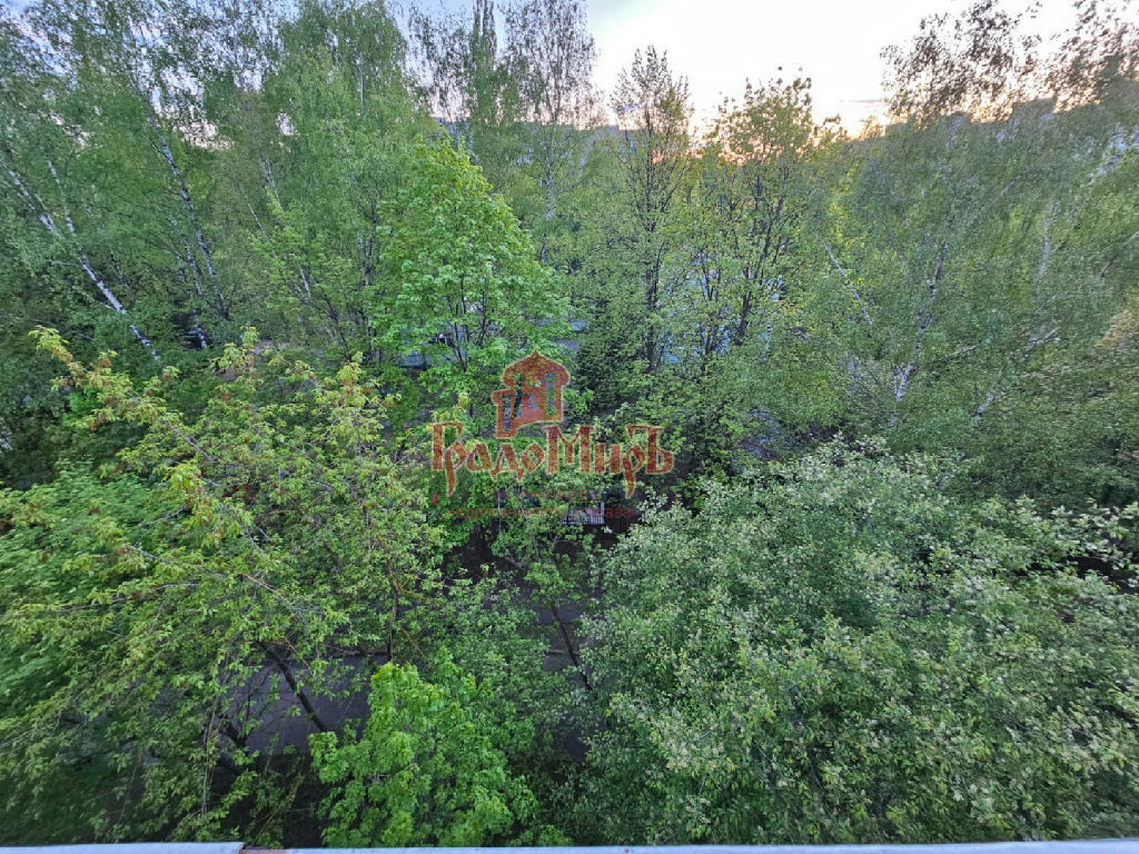 квартира г Королев Комитетский Лес ул., 10 фото 20