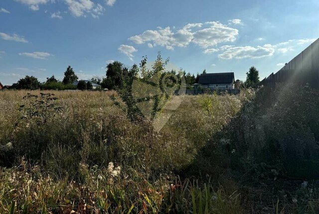 Старооскольский городской округ фото