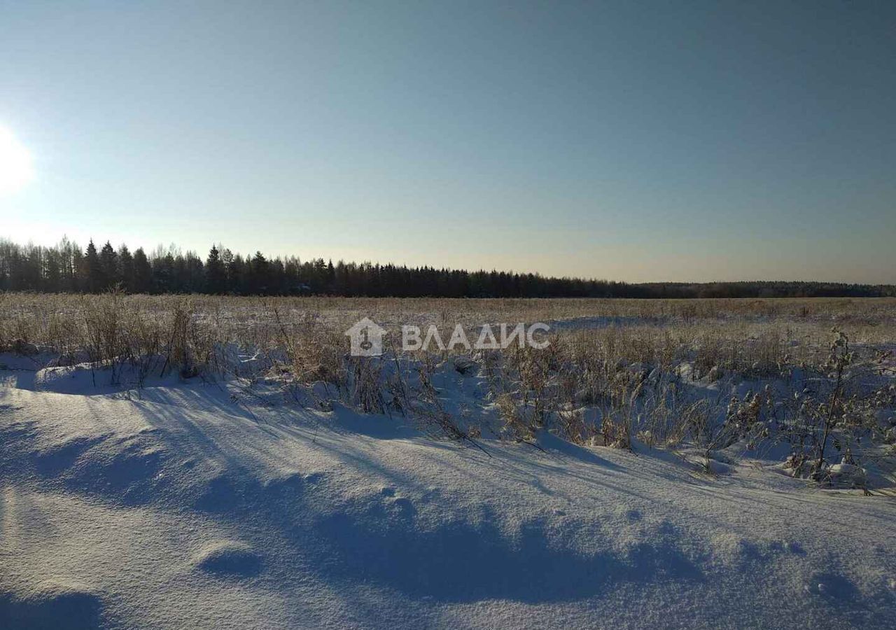 земля р-н Камешковский с Лаптево муниципальное образование Второвское, Владимир фото 6