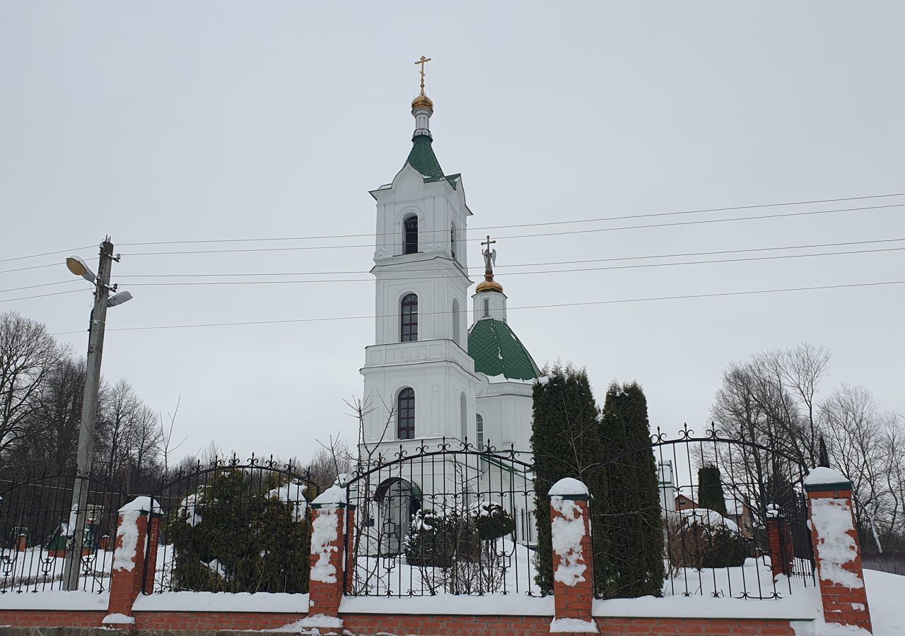 земля г Домодедово мкр Барыбино ул Вишневая 9762 км, Новокаширское шоссе фото 6