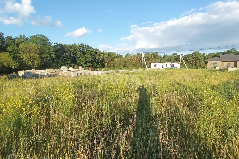 земля р-н Белгородский село Стрелецкое фото 2