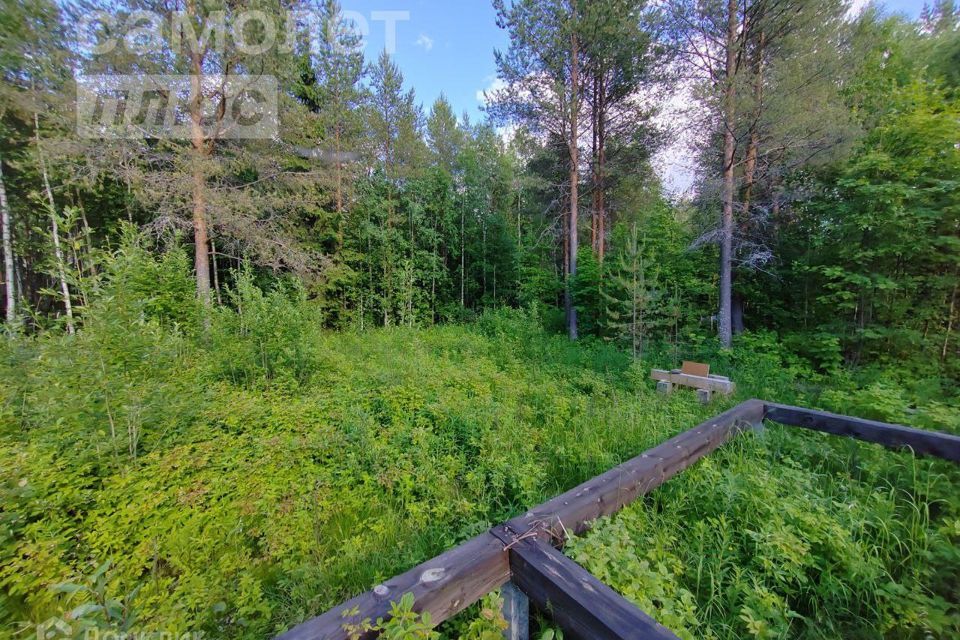 земля г Архангельск городской округ Архангельск, Остров Повракульский фото 6