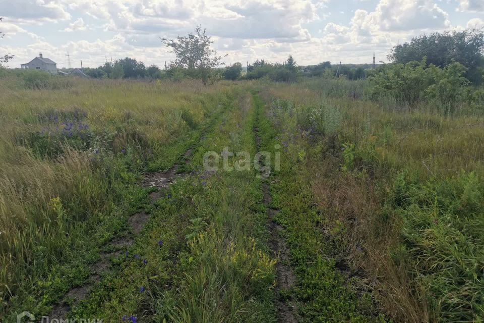 земля р-н Белгородский садовое некоммерческое товарищество Малиновка-2 фото 6