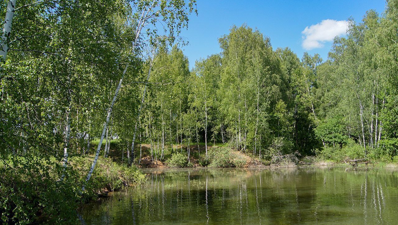 земля городской округ Раменский ДНТ Васильково 9771 км, г. о. Чехов, Симферопольское шоссе фото 8