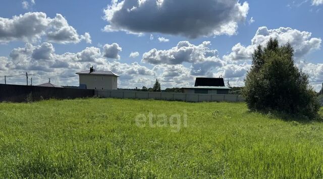 СНТСН, 238, Подольск городской округ фото