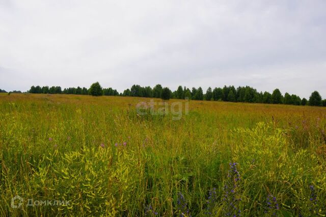 р-н Новокузнецкий Кемеровская область — Кузбасс, ДНП Ново-Костёнково фото