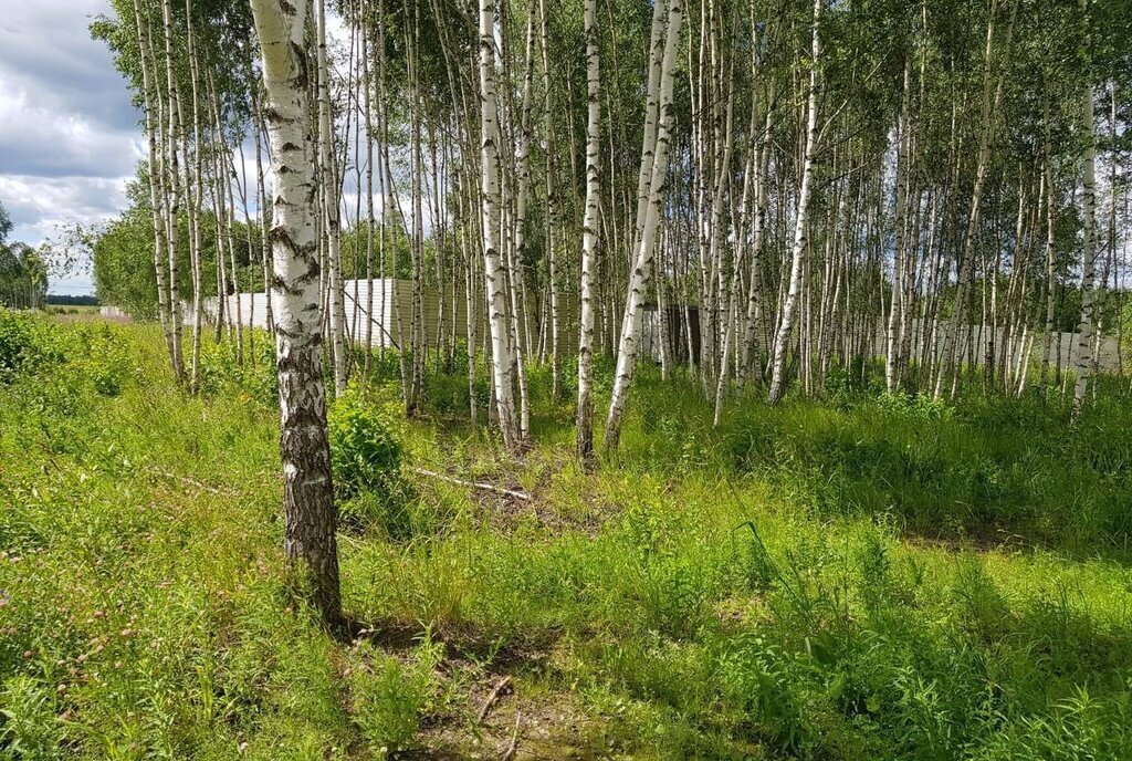 земля городской округ Дмитровский д Ивановское фото 29