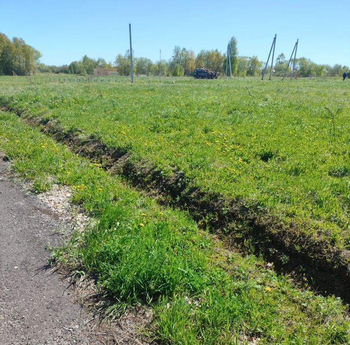 земля городской округ Орехово-Зуевский д Кудыкино фото 8