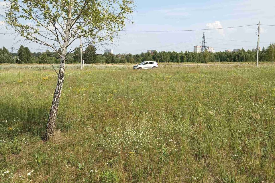 земля городской округ Щёлково посёлок Лесные Поляны фото 3