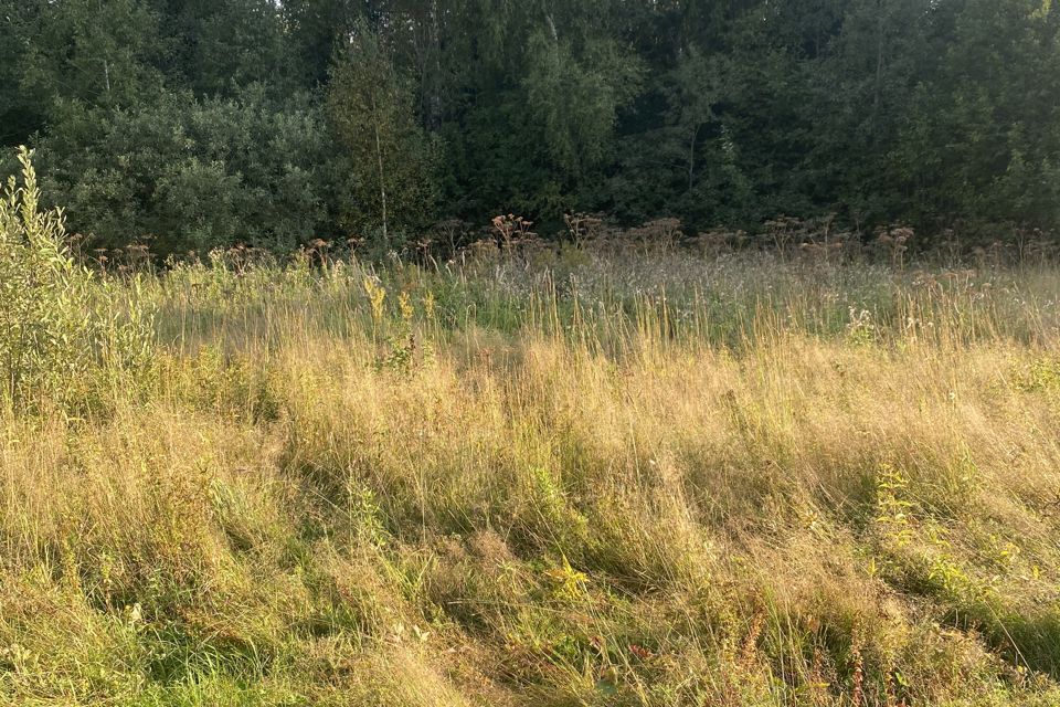 земля городской округ Клин ДПК Вишнёвый Сад 2 фото 5